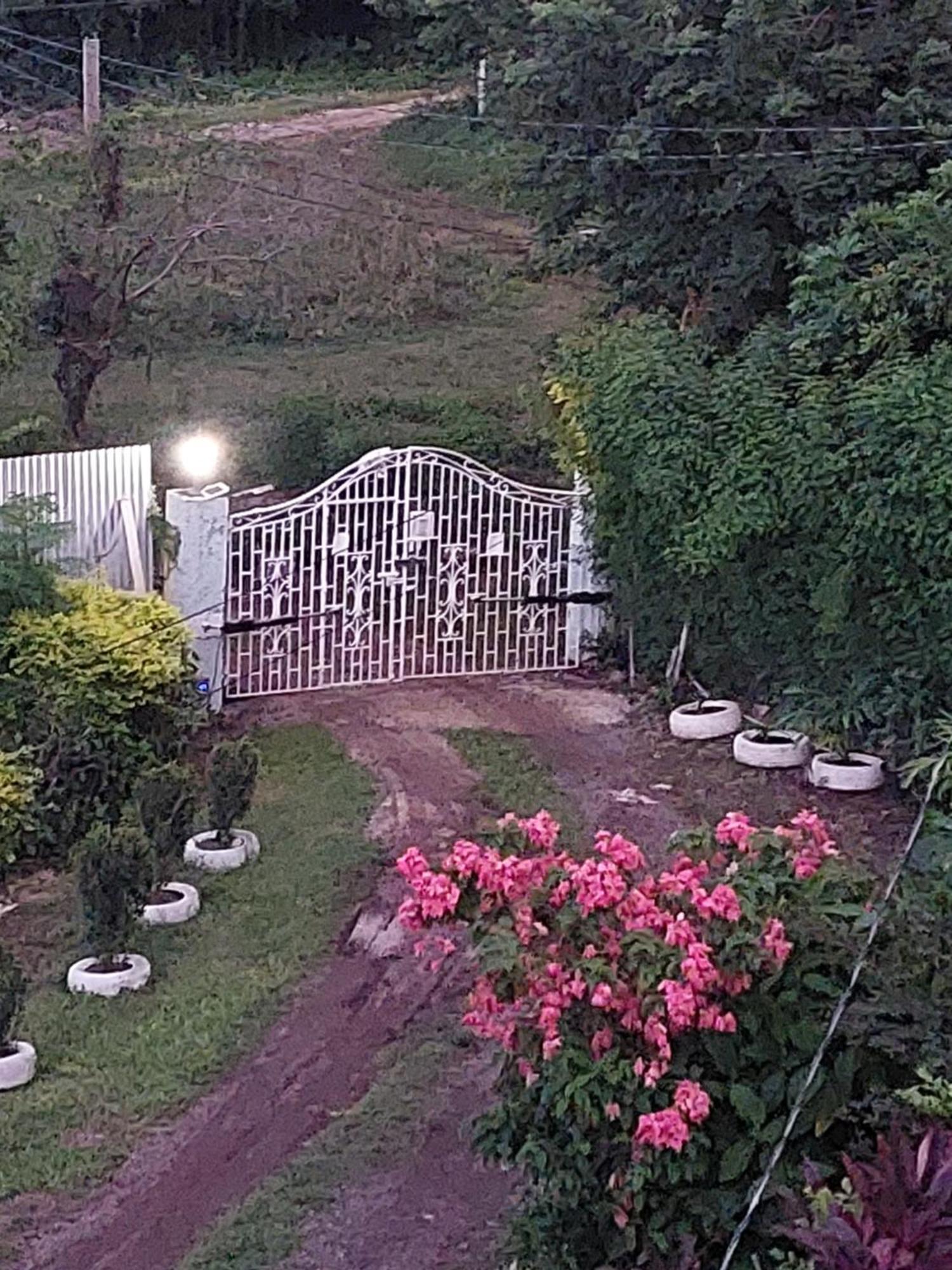 Alex'S Place - Tim Pappies Port Antonio Esterno foto