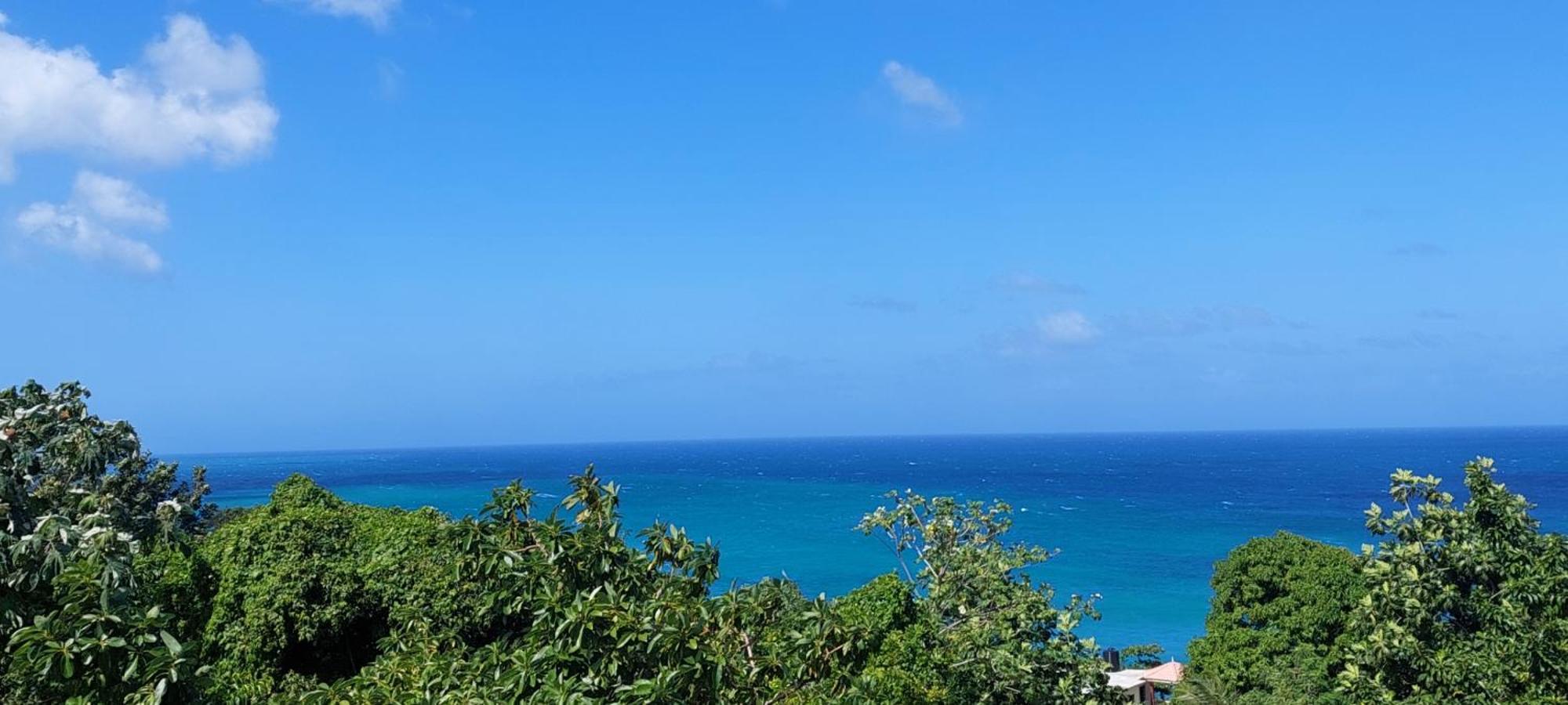 Alex'S Place - Tim Pappies Port Antonio Esterno foto