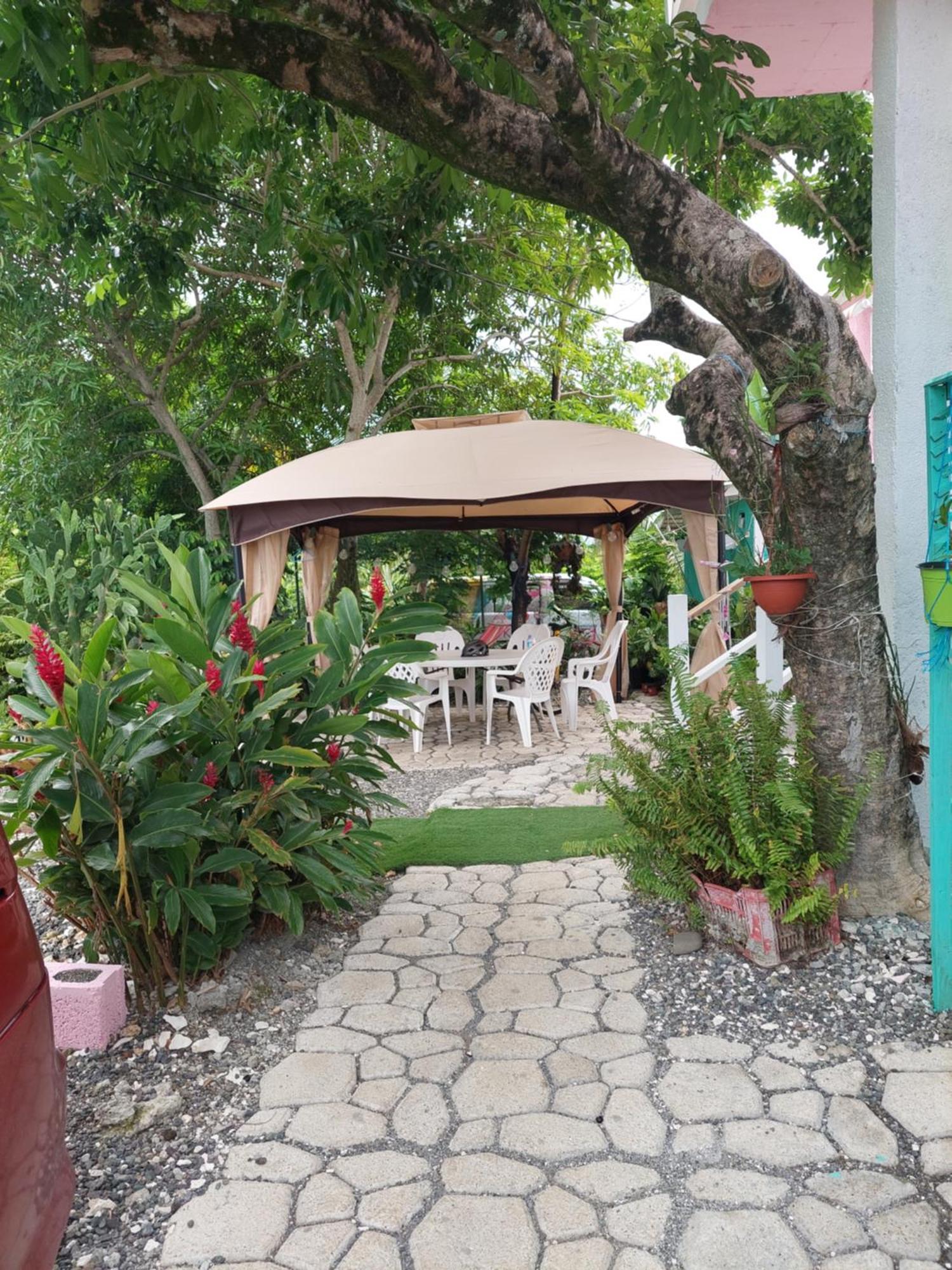 Alex'S Place - Tim Pappies Port Antonio Esterno foto