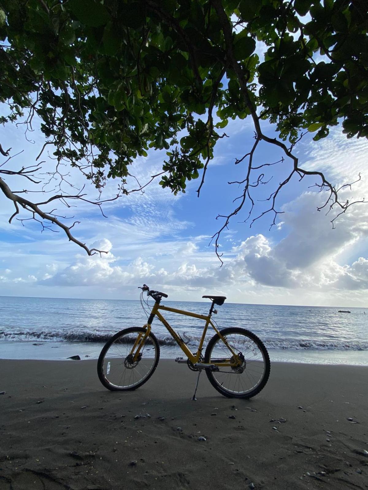 Alex'S Place - Tim Pappies Port Antonio Esterno foto