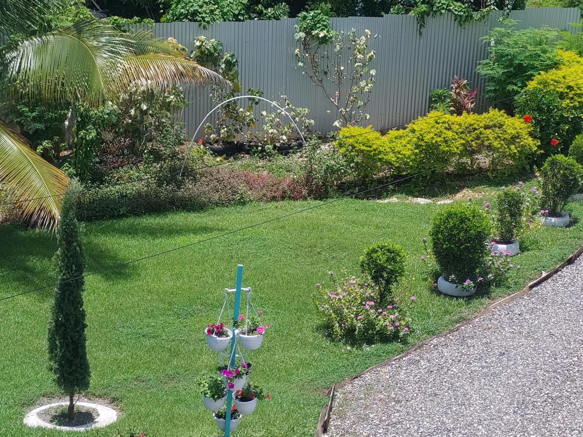 Alex'S Place - Tim Pappies Port Antonio Esterno foto